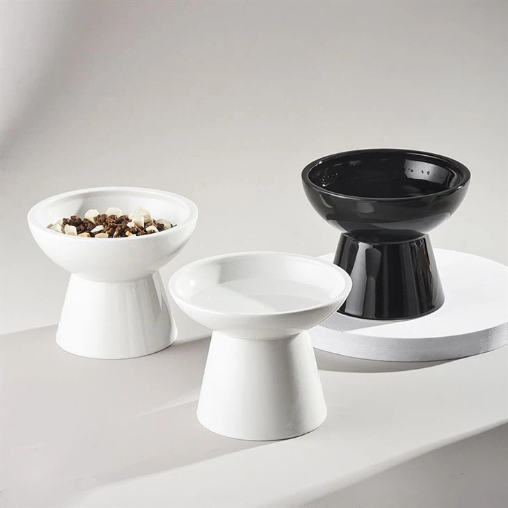 raised dog bowl
