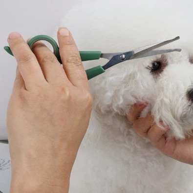 Važnost korištenja makaza za njegu kućnih ljubimaca